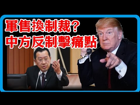 川普 110 億對台軍售剛官宣，中方 24 小時取消 13 萬噸小麥訂單，稀土殺招還在後面#竇文濤 #中日 #紀實 #經濟 #歷史 #聊天 #推薦 #熱門#日本#中美关系 #中日美#台湾