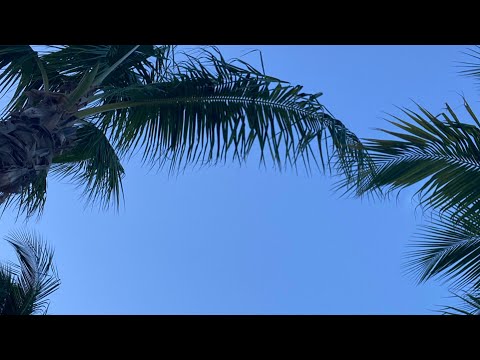 Miami & AfroMermaid 2025 | practice being happy