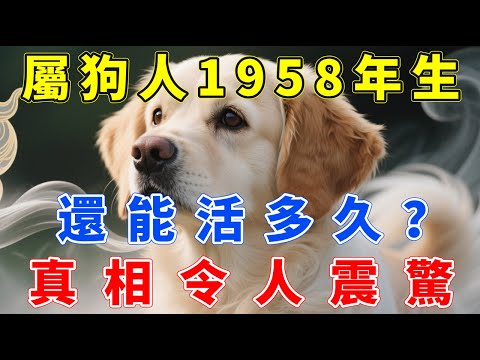 屬狗人，1958年戊戌年生，還能活多久？真相令人唏噓，很多人看完都沉默了！#生肖指南 #生肖狗 #屬狗 #生肖狗運勢 #生肖狗運程