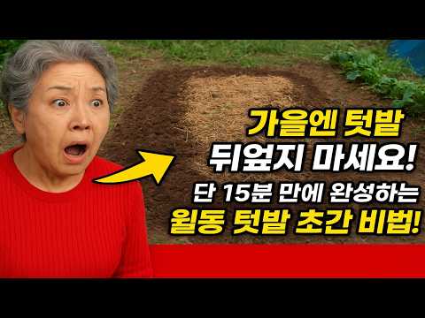가을엔 텃밭을 뒤엎지 마세요! 🤫 단 15분 만에 완성하는 월동 텃밭 초간단 비법!