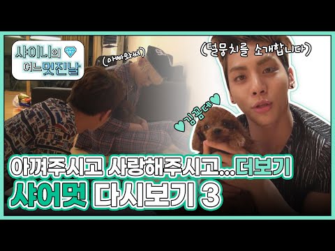 (ENG) [샤어멋] 샤어멋을 아껴주시고 성원해주시고 사랑해주시고 계속 찾아봐주시고...더보기💕 샤어멋 온유, 종현, KEY 다시보기 3 l #샤이니의어느멋진날 l EP.6~10