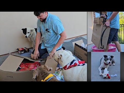 PO BOX OPENING #3 - We Go Through So Many Toys