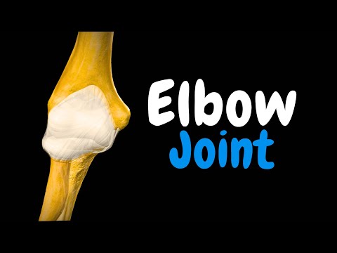 Elbow Joint: Ligaments, Movements & Injuries | Clinical Anatomy