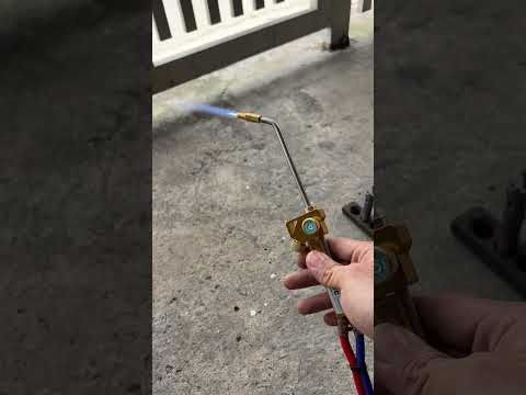 ngày 9 tháng 9, 2024