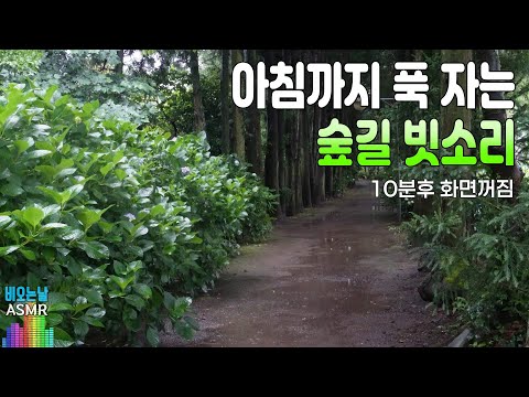 아침까지 푹 자는 숲길 빗소리/ 이명치료효과/ 10분후 화면꺼짐