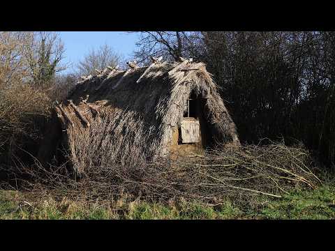 Defending My House with a Living Blackthorn Hedge | Anglo-Saxon Hedgelaying and Coppicing