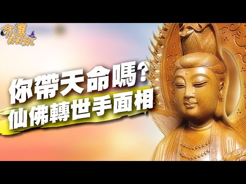 你帶天命嗎？仙佛轉世的手面相！「耳大有珠」天生有福報？自帶修為投胎的人間活菩薩！｜【命運好好玩每周精選】