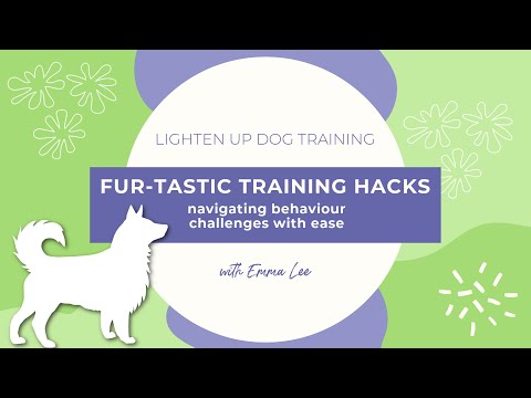 Dog Training Hacks For Exhausted Guardians