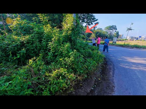 SHOCKING discovery made while cleaning up this creepy abandoned sidewalk