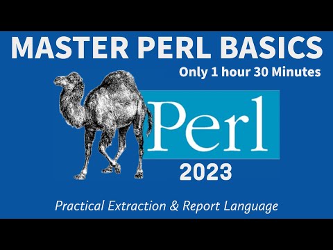 Master PERL BASICS Fast! - EASY & FUN - COMPILATION Tutorial 2023