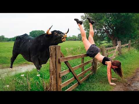 Die besten Fails im Bauernhofleben 🚜🐄 Fails mit Nutztieren und Traktoren