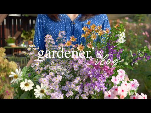 Fall Garden Refresh 🌸 Panicled Hydrangeas, Anemones & More