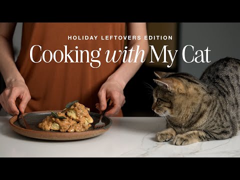 Cooking with Holiday Leftovers + Life with My Cat