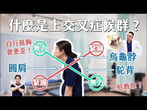 不想駝背、圓肩、烏龜脖？破解「上交叉症候群」的終極矯正術！超完整自救指南｜唯心運動物理治療所