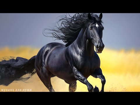 Самая красивая мелодия на свете! Эту музыку можно слушать вечно! Нежная Спокойная Музыка Для Души