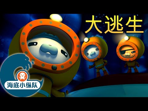 海底小纵队 - 大逃生 💫 | 集完整版
