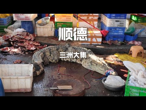 中國廣東大集市，廣東人到底有多敢吃？“19元”的卤牛蹄VS“5元”伦教糕，哪個更香？【野文不懂吃】