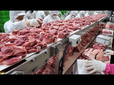 Hygienic Mass-Produced Food Factory in Korea | Korean food