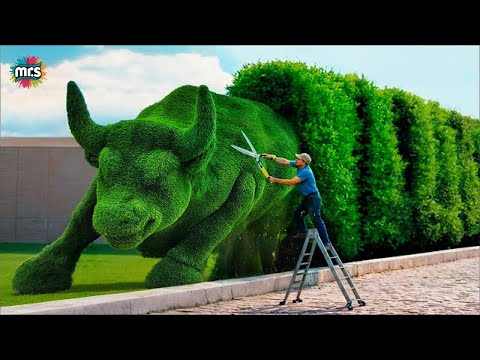 Crafting Green Perfection: A Grass Cutter’s Tale of Skill and Passion : @kustorez777