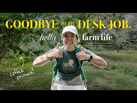 I quit my desk job to work on a farm in hawai'i 🌱 VLOG | week 1!