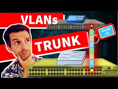 VLAN - Trunk Port Explanation - 802.1Q / Trunk Port
