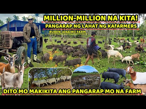 MILLION-MILLION NA KITA - SUCCESSFUL FARM BUSINESS | PANGARAP NG LAHAT NG KAFARMERS!