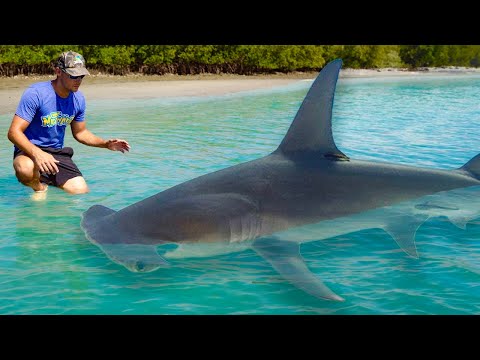 I CAUGHT THE SEA MONSTER