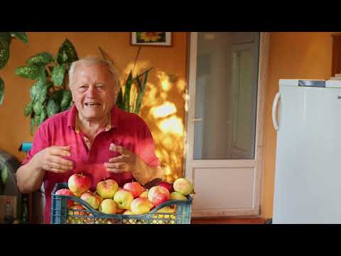 Советы о саде, часть 5. Мои секреты о яблонях и о их здоровье.