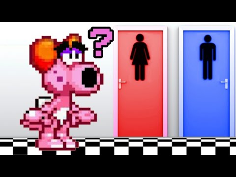 Birdo's Gender