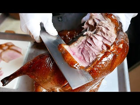 Japanese Food - PEKING DUCK Chinese Dumplings Stir Fry Kanazawa Japan