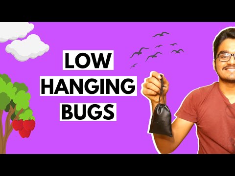 How to find Low Hanging Bugs on Login Page | Bug Bounty Tips 🔥🔥