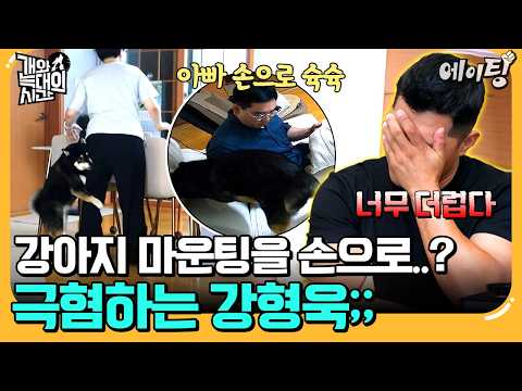 [#에이팅] 충격주의🚫 강아지 마운팅을 손으로 직접 해준다?! 강형욱 극대노하게 만든 충격적인 슉슉이의 정체💣 | #개와늑대의시간 5회