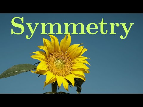 Symmetry in physics and Noether’s theorem