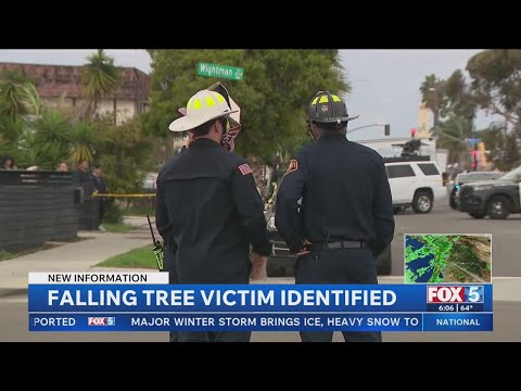 Man killed in City Heights tree collapse identified