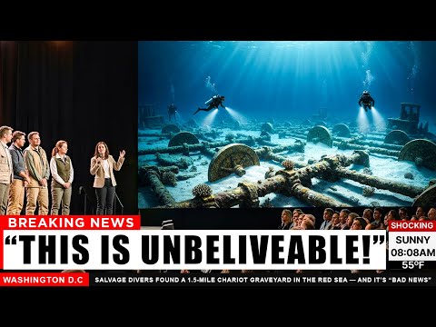 Divers Found a Chariot Graveyard in the Red Sea — What’s Mixed in the Wreckage Is Terrifying