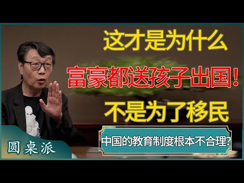 【圆桌派第八季最新】这才是为什么富豪都送孩子出国！中国的教育制度根本不合理？#窦文涛 #梁文道 #马未都 #周轶君 #马家辉 #许子东 #圆桌派  #圆桌派第八季