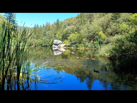 Travel Tips for the Coachella Valley, Joshua Tree and Idyllwild.