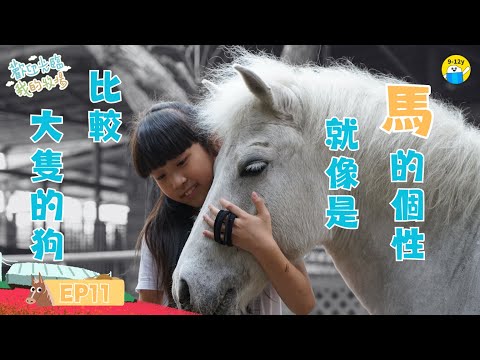 馬🐎是大隻的狗？歡迎光臨我的牧場 EP11│小公視│9歲女孩的馬場生活