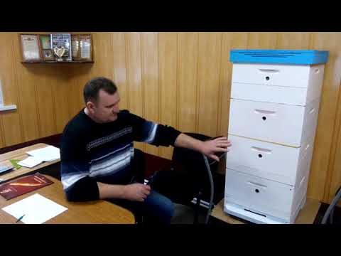 Пчеловодство с одним гнездовым корпусом