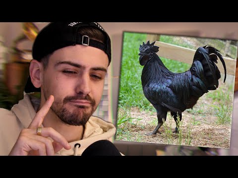 VOUS NE SAVIEZ PAS TOUT ÇA !? (moi non plus)