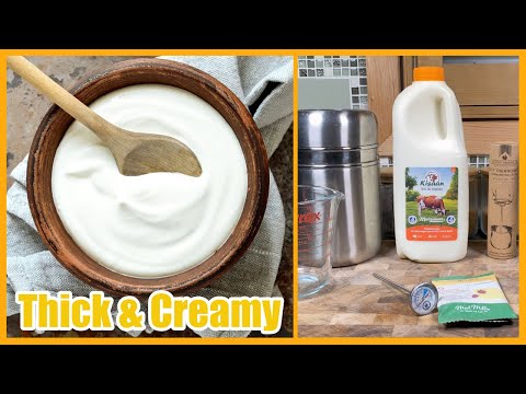 How to Make Thick and Creamy Yogurt at Home (No Machines)