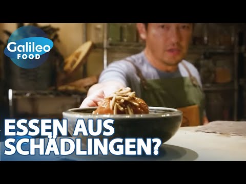 Kampf dem Unkraut: Dieser Koch macht Sushi aus invasiven Arten! | Galileo Food