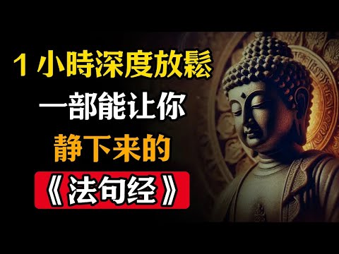 一部能讓你靜下來的《法句經》   12章佛陀智慧助眠（1 小時深度放鬆）#佛學 #禪宗
