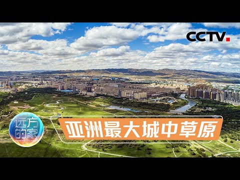 城中草原面积不减反增！亚洲最大的城中草原让你体验大自然的震撼 20230308 |《远方的家》CCTV中文国际