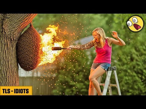 TOTAL IDIOTS AT WORK #43 | Instant Regret Fails Compilation 2025 | Best of the Week