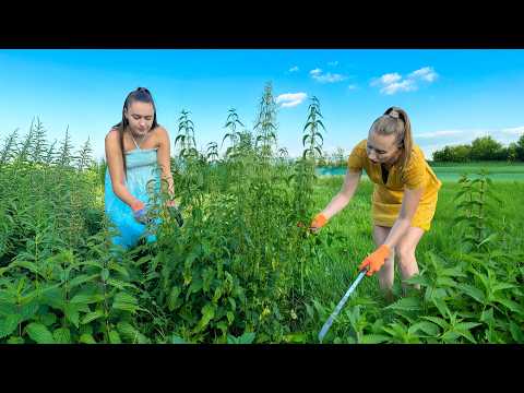 Country Food for the POOR! Cooking Nettles With Chicken Eggs!