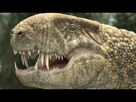 After the Asteroid: Life in the Wake of the Chicxulub Impact