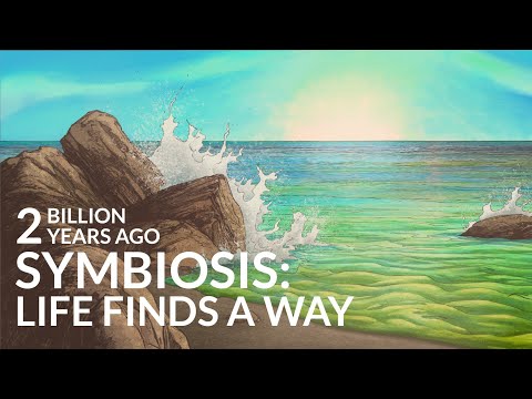 How Did Life Recover From The First Mass Extinction?