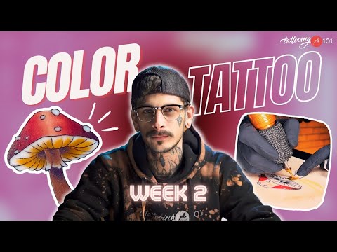 Back to Basics | Color Packing & Blending | Week 2