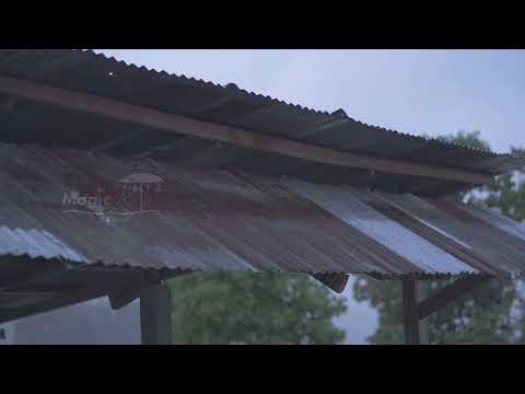 ฝนตกบนหลังคาสังกะสีสร้างบรรยากาศที่เงียบสงบและผ่อนคลาย ช่วยให้คุณสามารถหลับสนิทในคืนที่แสนอบอุ่น